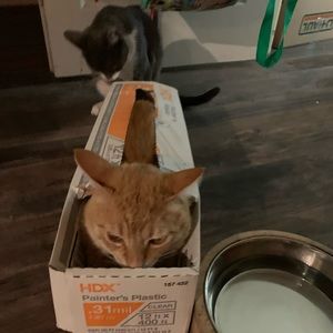 Meet your Posher, Georgia